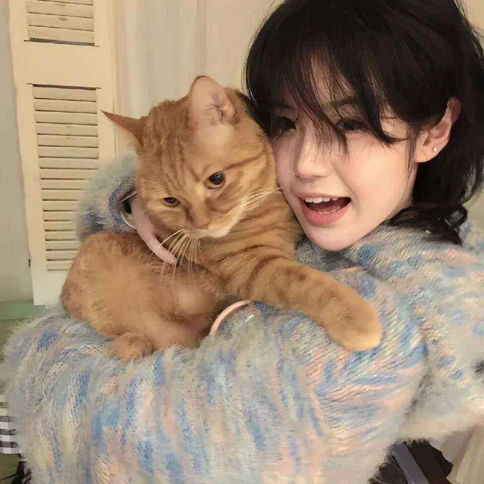 我们开始当空服员